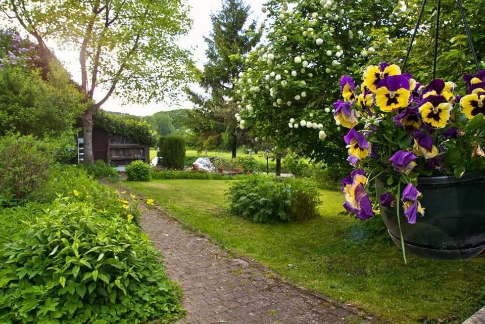 La Petite Maison Six Planes Екстериор снимка